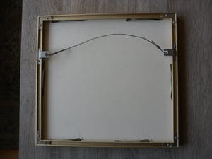 Jan Hein van Rooy - Litho, Plant Agave kopen? Bied vanaf 25!