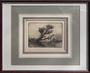 Gerrit de Jong - Ets - Boom - 20263 kopen? Bied vanaf 50!