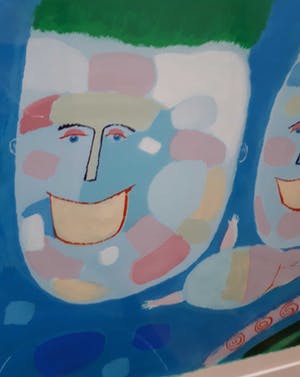 Wouter Stips - Droomvliegen kopen? Bied vanaf 65!