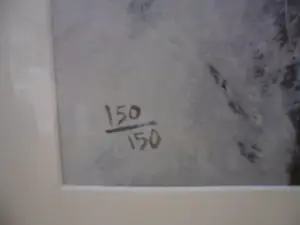 Nico Molenkamp - Zeefdruk: Giraffe mooi groot werk. kopen? Bied vanaf 275!