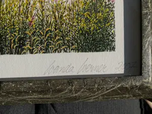 Wanda Werner - aquarel in oplage van 60 . nummer 40 kopen? Bied vanaf 50!