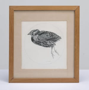 Charles Donker - geen titel kopen? Bied vanaf 15!