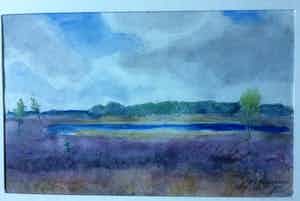 Han Krug - Stabrechtse Heide 1974 (Noord Brabant) verkocht voor € 35!