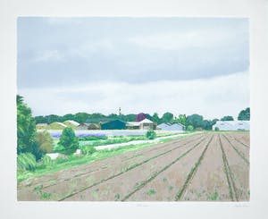 Gineke Zikken - Zeefdruk, Bollenschuren kopen? Bied vanaf 1!