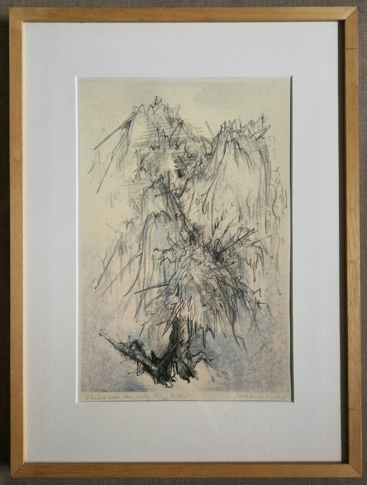 Dirkje Kuik - Ingelijste litho "studie voor een wilg" verkocht voor € 1!