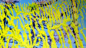 Gerhard Richter - '26. 5.92' - Farboffset, drucksigniert kopen? Bied vanaf 279!