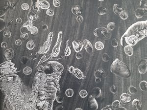 Anton Lutgerink - Dartel 1967 kopen? Bied vanaf 75!