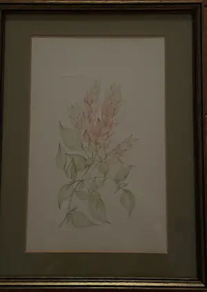 AcheterMargot Weemaes - Plantenverzameling? Enchérissez de 150!