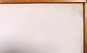 Mark Polee - Acryl op doek, Schilderij met vis - Ingelijst kopen? Bied vanaf 1!