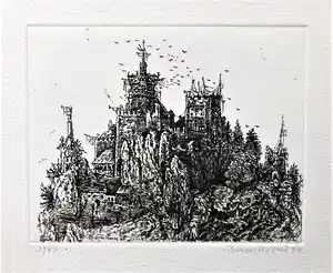 Simon Koene - Het kasteel verkocht voor € 35!