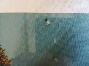 Joop Polder - Paleis Noordeinde Den Haag kopen? Bied vanaf 10!