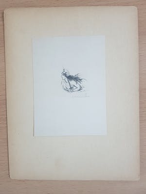 Theophile Alexandre Steinlen - Handgesigneerd Jeanne d'Arc kopen? Bied vanaf 150!