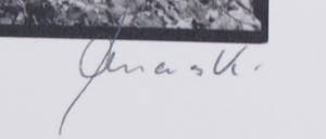 Ralph Janowski - Mooie zwart/wit print, Boom kopen? Bied vanaf 1!