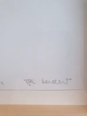 Jan Henderikse - DM Shirt kopen? Bied vanaf 175!