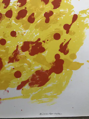 Jef Diederen - 2 Prachtige litho's - 1996 - Mooi Hoofd - 57/80 kopen? Bied vanaf 1!