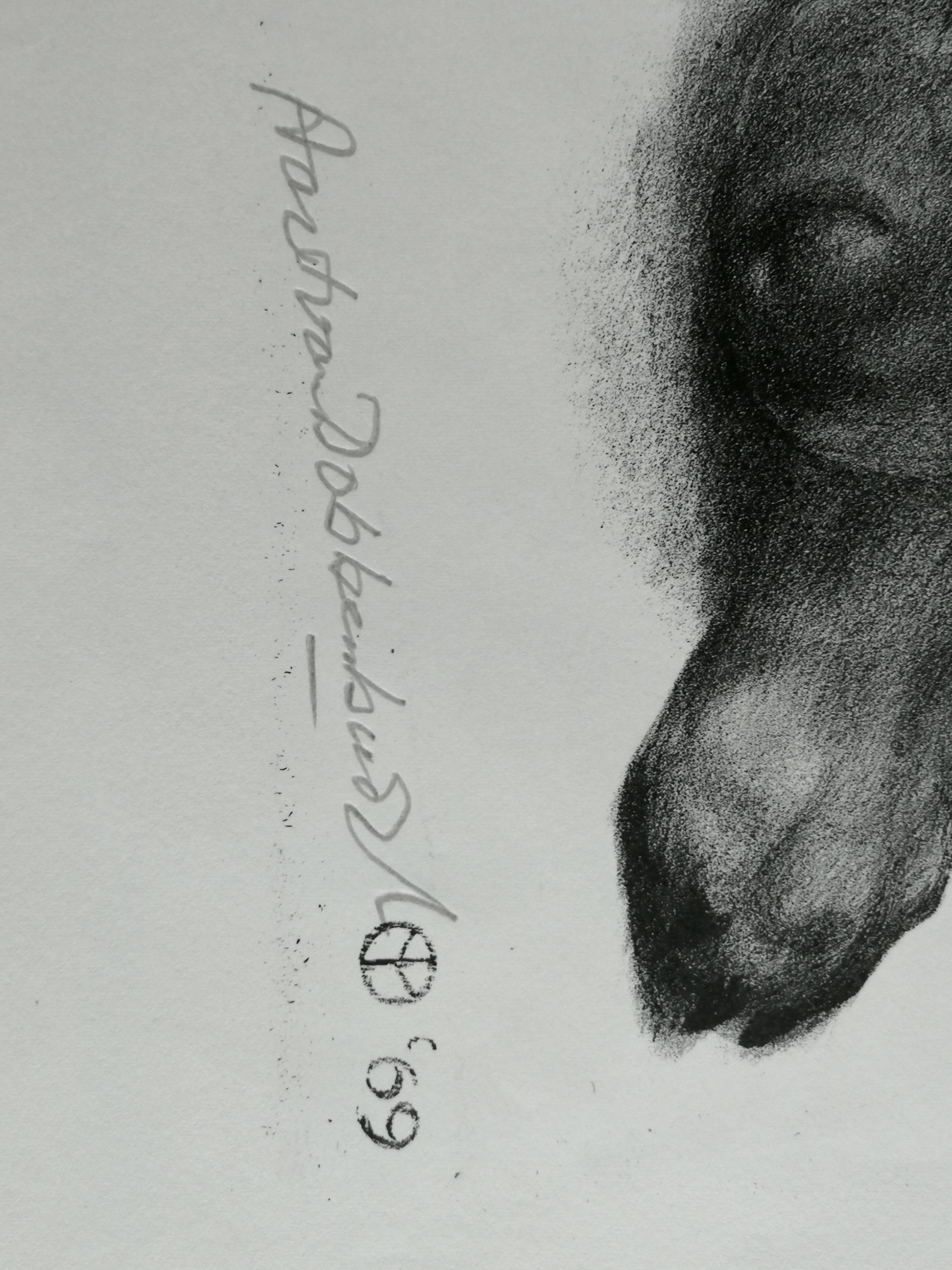 Aart van Dobbenburgh - Liggende hond kopen? Bied vanaf 25!