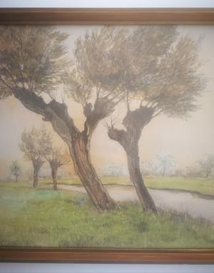 Jan Kagie (jr.) - Wilgen aan waterkant. kopen? Bied vanaf 1!