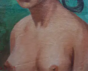 Hasim - Balinese schone. kopen? Bied vanaf 100!