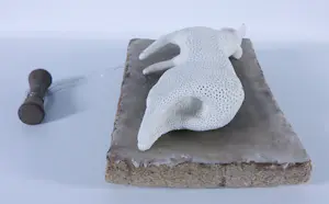 Kathja Smits - Porselein, papier en wax, Liggend schaapje kopen? Bied vanaf 125!