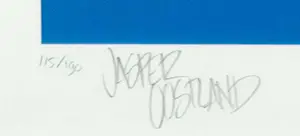 Jasper Oostland - Giclée, Hyla Arborea - Ingelijst kopen? Bied vanaf 40!