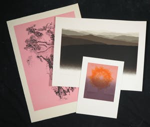 Piet Fioole - John Dohmen + onbekend, Lot van drie stuks grafiek kopen? Bied vanaf 40!