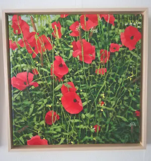 Willem Visser - Klaprozen 3 kopen? Bied vanaf 140!