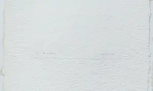 Bernard Alligand - Twee werken: Caresses d´ été en Vestiges kopen? Bied vanaf 49!