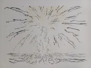 Willem den Ouden - gesigneerde litho kopen? Bied vanaf 79!