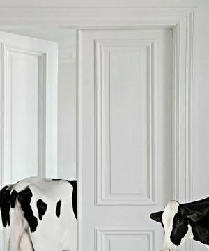 Mr. Strange - Vaches d'appartement kopen? Bied vanaf 50!