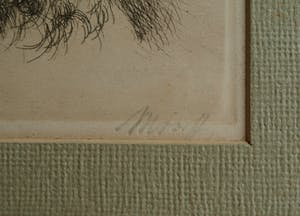 Niet of onleesbaar gesigneerd - Ingelijste ets , 2 Honden , 2 portretten - oud kopen? Bied vanaf 1!