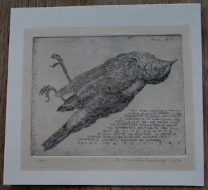 Ton Kwinkelenberg - Ets - 1976 kopen? Bied vanaf 49!