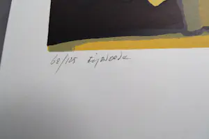 Fon Klement - Grote boardsnede "hymne au soleil" beperkte oplage (125) - nieuwstaat kopen? Bied vanaf 68!