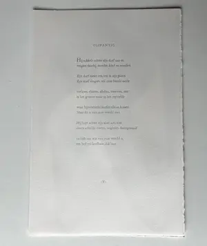 Reinhoud D'Haese - "Olifantig" - kleurenets kopen? Bied vanaf 195!