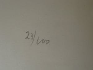 Metten Koornstra - Meester van de Verstilling - gelimiteerde ETS - gesigneerd - fraai ingelijst kopen? Bied vanaf 10!