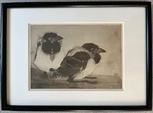 Jan Mankes - Originele Heliogravure - 2 Jonge Eksters 1923 kopen? Bied vanaf 120!