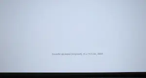 Pieter Bijwaard - Boek, 2x gesigneerd, genumm.336/500-met gouache, foto, 5 drukwerken en 2x CD kopen? Bied vanaf 25!