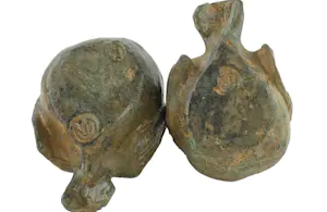 Pierre Chenet - Set van twee bronzen vogeltjes kopen? Bied vanaf 1!