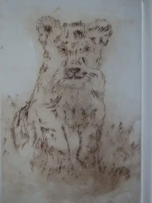 An Biesiot - Welp van de Leeuw kopen? Bied vanaf 15!