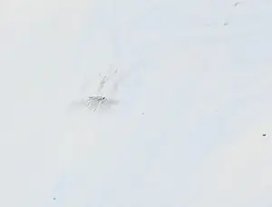 Aart Roos - Gemengde techniek op papier, Zonder titel - Ingelijst kopen? Bied vanaf 1!