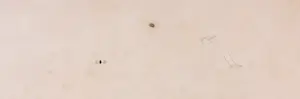 Aart Roos - Gemengde techniek, Zonder titel - Ingelijst (Groot) kopen? Bied vanaf 1!