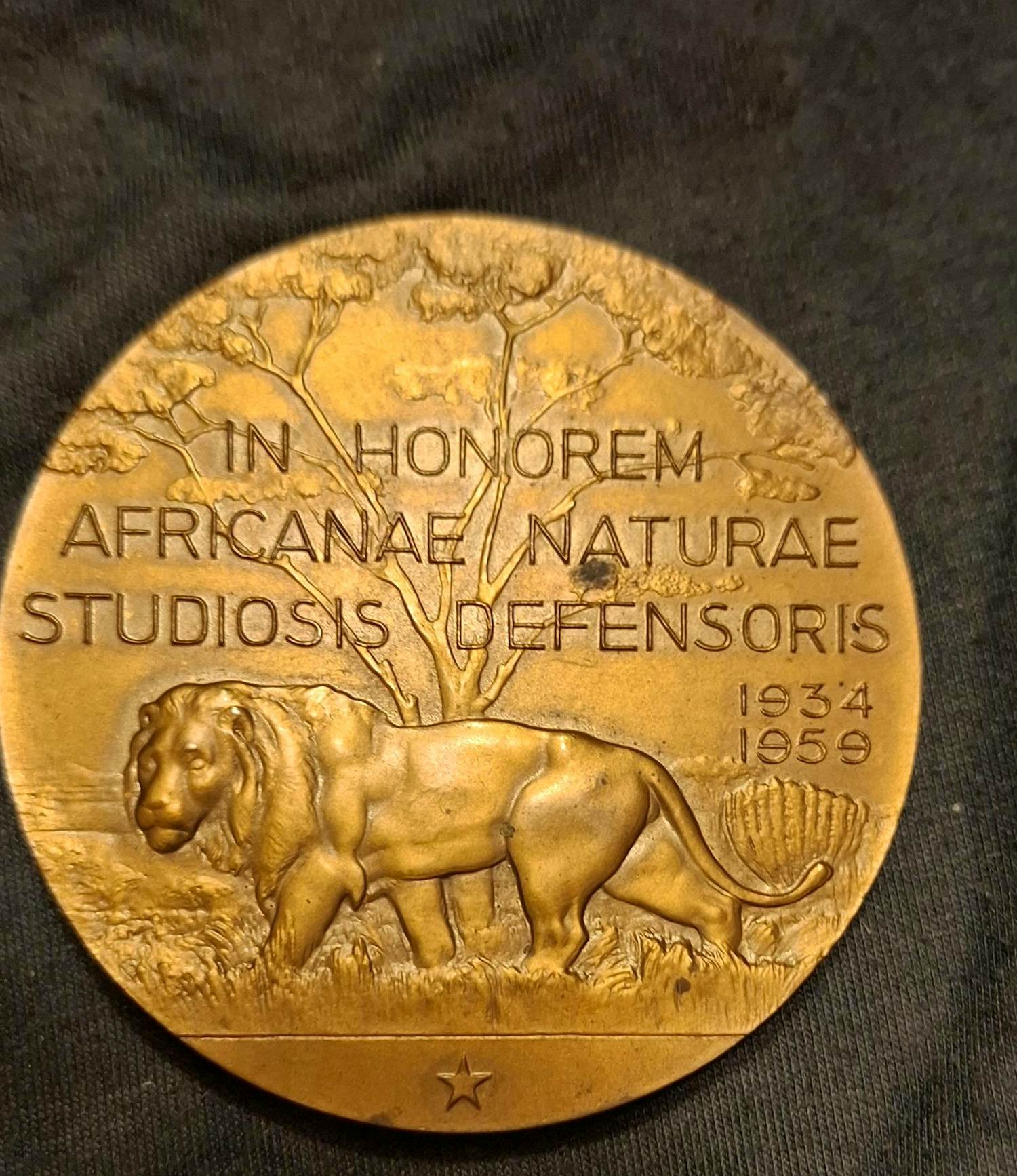 Marcel Rau - Belgische Congo-leeuw VICTOR STRAELEN verkocht voor € 20!