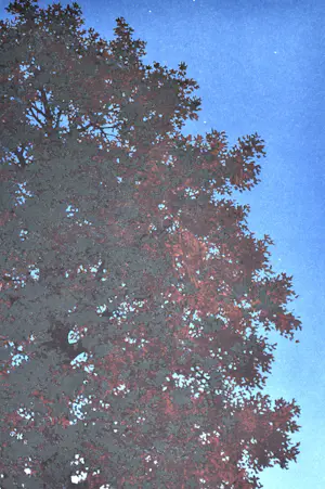 Rene Magritte - (naar), La voix du sang, Lithografie, 77,5x57,5 cm kopen? Bied vanaf 550!