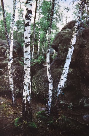 Paul Huf - Foto, Zonder titel - Ingelijst kopen? Bied vanaf 1!