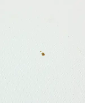 Menno Meijer - Lot van drie 3d-geometrisch-abstracte werken in gemengde techniek (verf, metaal) kopen? Bied vanaf 50!