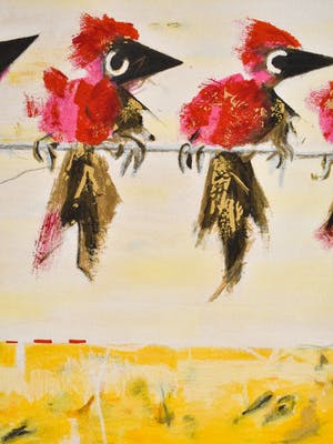 Willem van Scheijndel - Californië kopen? Bied vanaf 70!