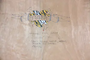 Michael Mew - Mixed media op paneel, TIGER kopen? Bied vanaf 650!