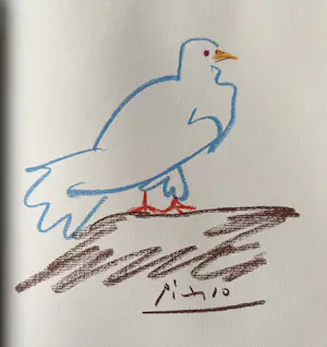 Pablo Picasso - "Verhalen zonder liefde", met 32 kleurentekeningen van Picasso. kopen? Bied vanaf 65!