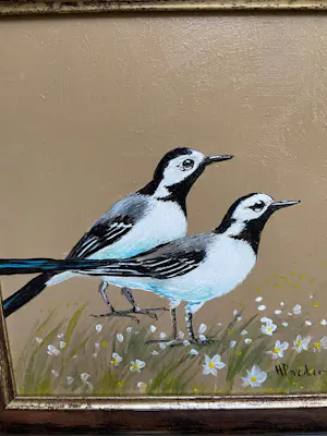 Henk Poeder - Witte kwikstaarten kopen? Bied vanaf 69!