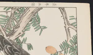 Imao Keinen - Twee Japanse prenten van vogels kaufen? Bieten Sie von 90!