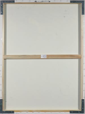 Bert Braam - Acryl op doek, Zonder titel kopen? Bied vanaf 1!